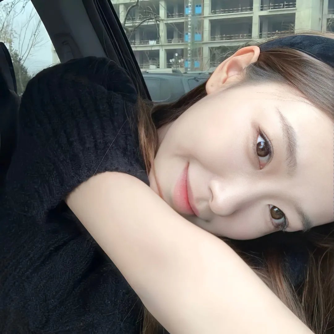 鹈鹕的故事